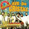 Ave de Cristal