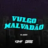 About Vulgo Malvadão Song