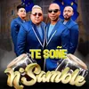 About Te Soñé Song