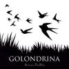 About Golondrina Song