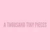 About A Thousand Tiny Pieces (Revisited) Song