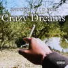 About Crazy Dreams Song