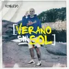 About Verano Sin Sol Song