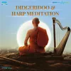 About Didgeridoo & Harp Meditation Song