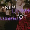 About Anem a tot Song