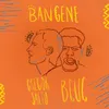 About Bangene Song