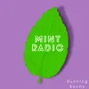 About Mint Radio Song