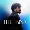 About Tere Bina Song