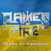 About Tears of Freedom Song