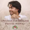 About Divaneh Tar Shodam Song