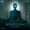 About Meditation In The Forest Song