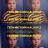 Teen Mitä Mä Haluun 2