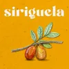 About Siriguela Song