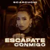 About Escápate Conmigo Instrumental Mix Song