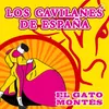 About El Gato Montés Song