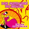 About Islas Canarias Song