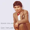 About Seker Oglan Song