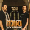 About גאולה רימיקס Song