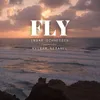 About Fly Song