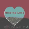 Missing Love Nu Disco Dj Edit