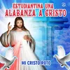 About Mi Cristo Roto Song