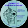 What Do You Know? Pedro Cañas Remix