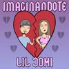 About Imaginándote Song