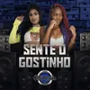 About Sente o Gostinho Song