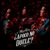 About ¿Apoco No Duele? Song