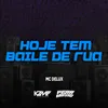 About Hoje Tem Baile de Rua Song