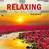 About Relaxing Music For Stress Relief Song