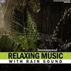 Relaxing Music With Rain Sound
