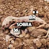 About Sobra Song