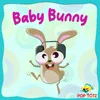 About Baby Bunny Song