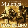 About Flor de Lino Song