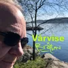 Vårvise Radio edit