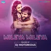 About Mileya Mileya Song