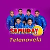 About Telenovela Song