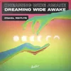 About Dreaming Wide Awake Song