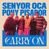 About Carry on Song