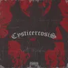 About Cysticerrosis Song