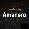 About Amenero Song