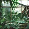 Greenhouse