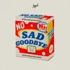 About No Sad Goodbye Song