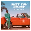 About Shey You Go Dey Song