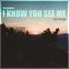 About I Know You See Me Song