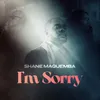 About I'm Sorry Song