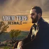 About Desmalê Remix Song