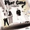 About Biker Gang Song