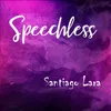 About Speechless Song